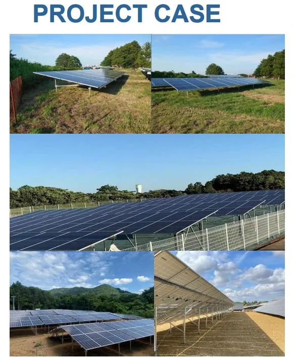 Pandasolar OEM Popular Commercial PV Plant Aluminum Structure Solar Single Pile Design Ground Mounting System Chinese Supplier